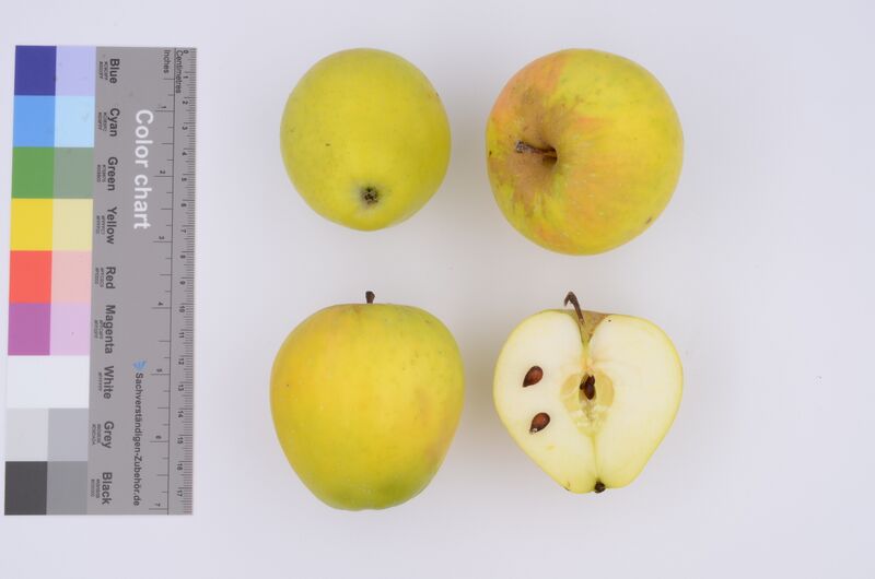 Datei:Hans Ulrich Apfel MAL3797.jpg