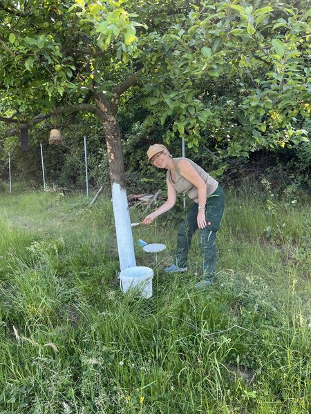 Datei:Bettina Baumanstrich c.Michael Schlitt.jpg