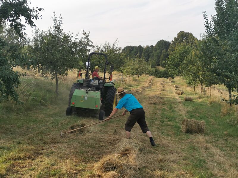 Datei:Heuernte c.Michael Schlitt.jpg