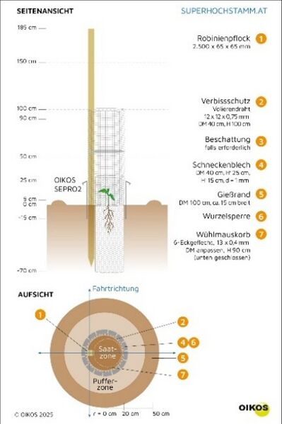 Datei:Direktsaatfläche. Quelle superhochstamm.at.jpg
